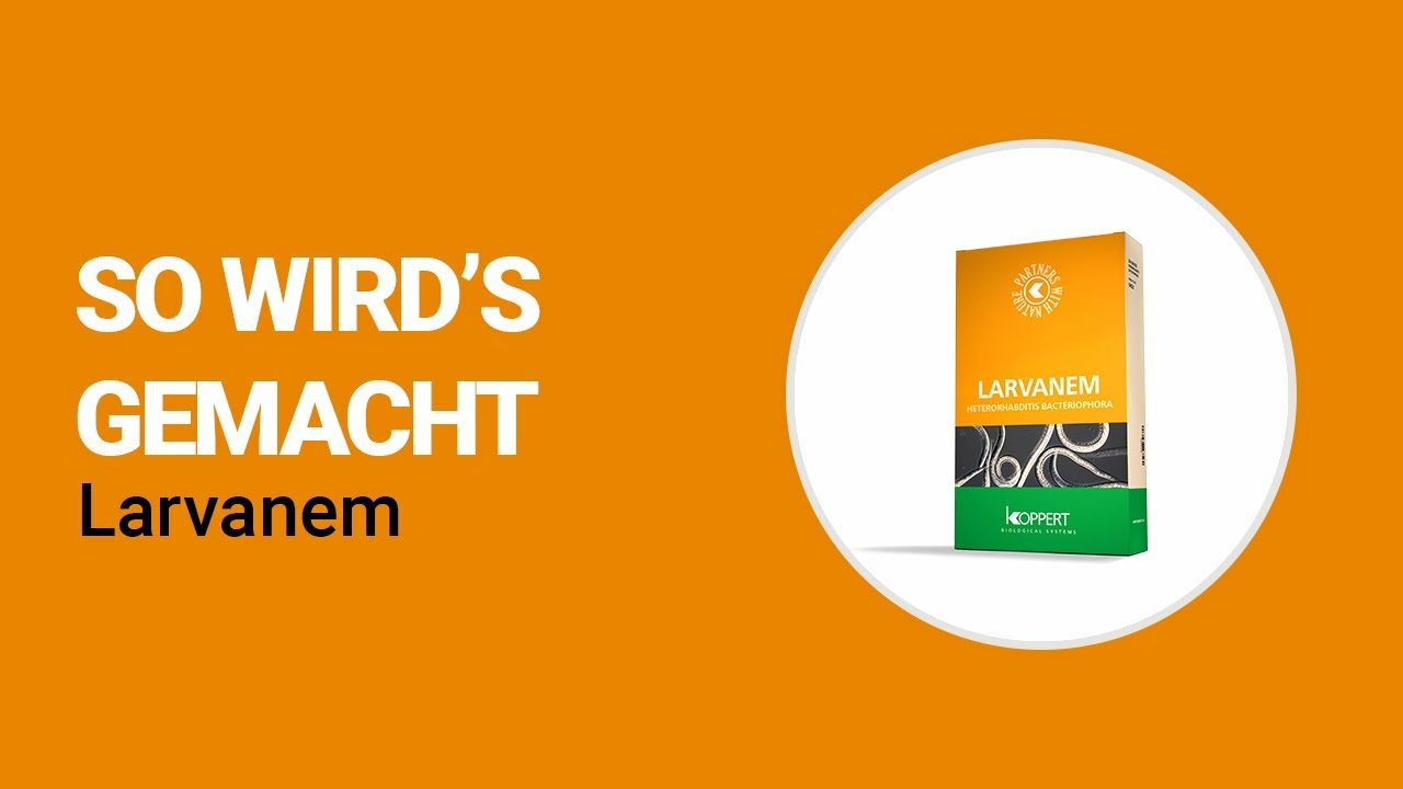 So wird's gemacht - Koppert Larvanem