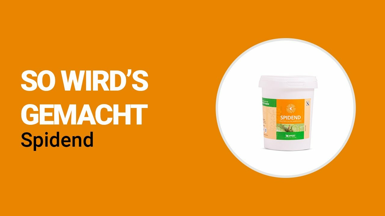 So wird’s gemacht - Koppert Spidend