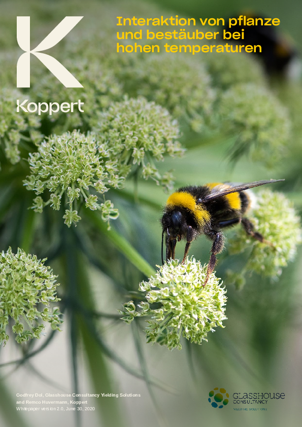 Wichtige Hinweise zur Bestäubung bei hohen Temperaturen