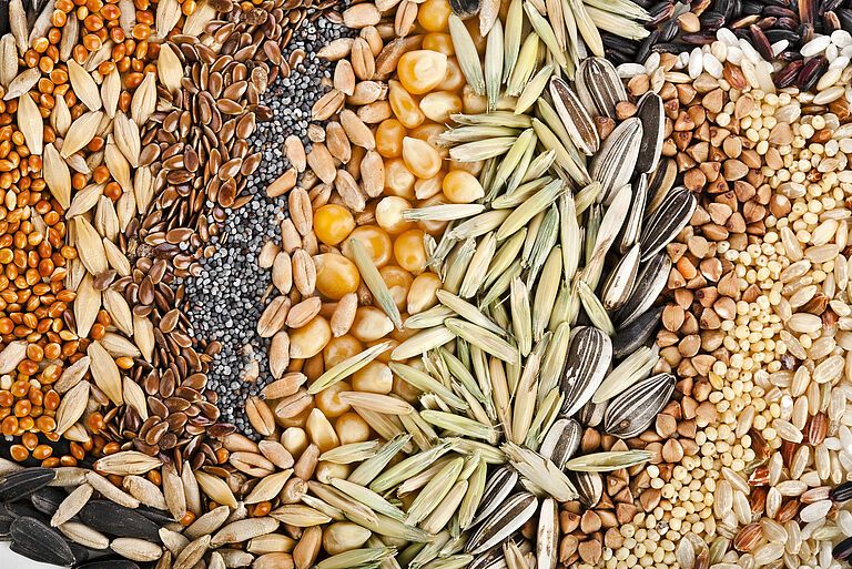 Was ist Saatgutbehandlung