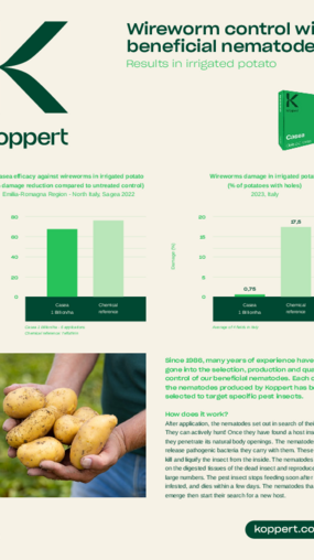 trial results wireworm control trial results wireworm control