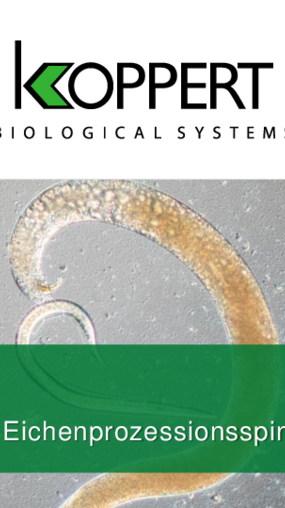 Capirel Eichenprozessionsspinner Whitepaper Capirel Eichenprozessionsspinner Whitepaper