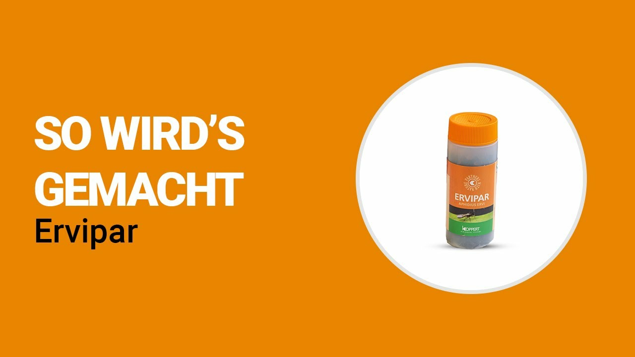 So wird’s gemacht - Koppert Ervipar So wird’s gemacht - Koppert Ervipar