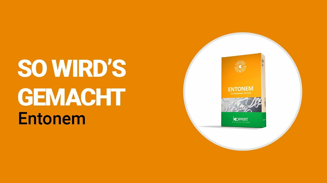 So wird's gemacht - Koppert Entonem