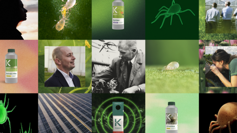 Koppert_Original_Website_Teaser_1594x1081px_D2.png