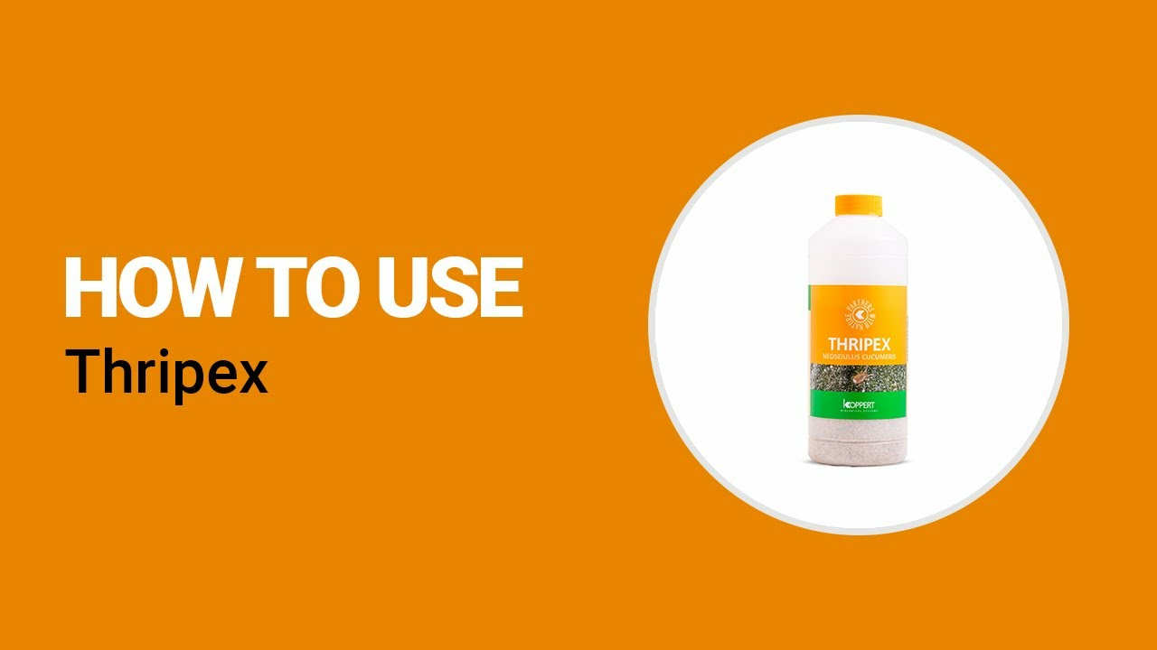 How to use Thripex from Koppert
