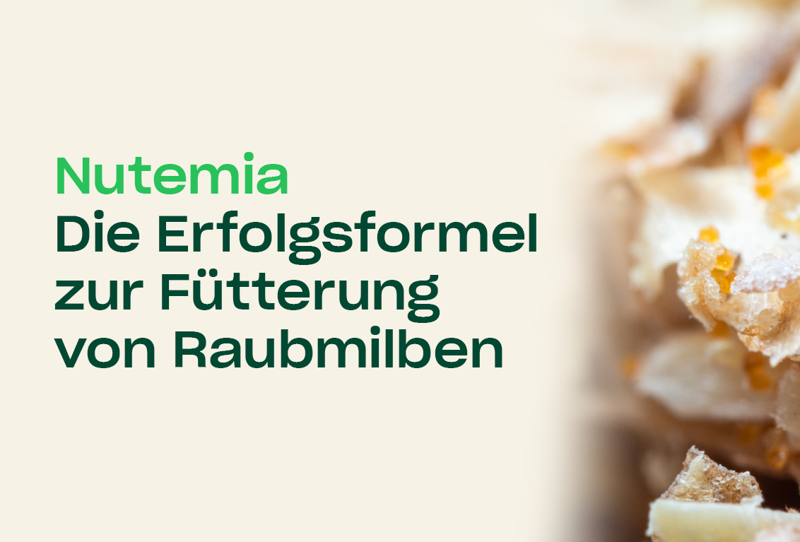 Nutemia: die Erfolgsformel für die Ernährung von Raubmilben